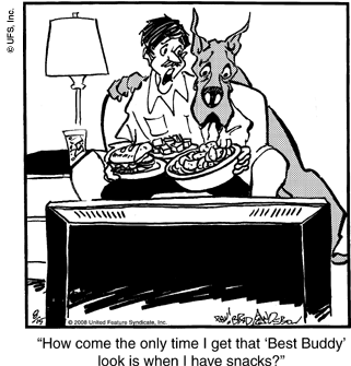 marmaduke